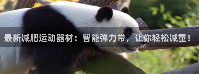 征途国际娱乐:最新减肥运动器材:智能弹力带,让你轻松减重!